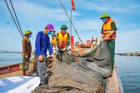 Tỉnh Đắk Lắk tập trung chuyển đổi nghề khai thác hải sản để bảo vệ nguồn lợi và phát triển bền vững